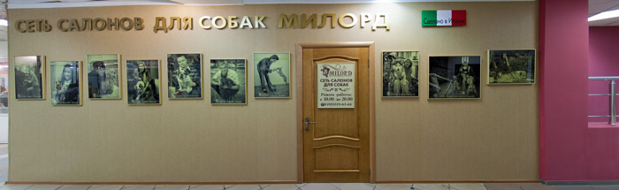 Груминг-салоны в Беляево